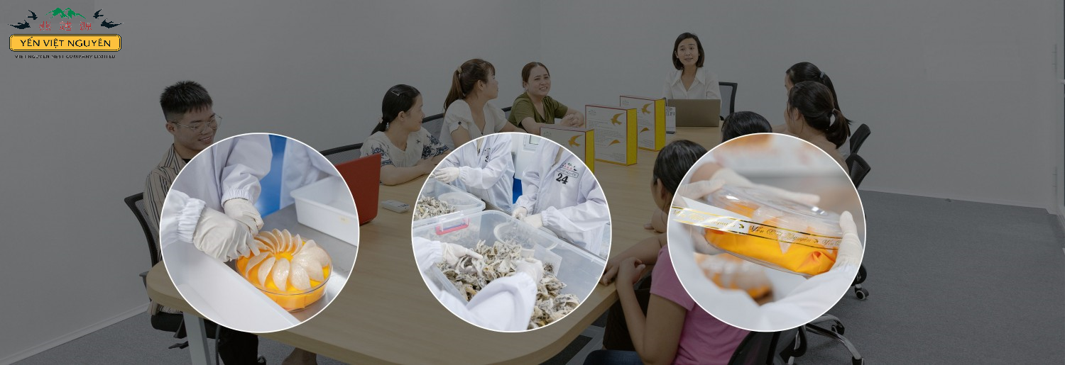 <h3>Công ty Yến Việt Nguyên</h3>
